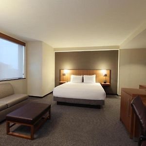King Room Sofa Bed Roll Shower Disability Access